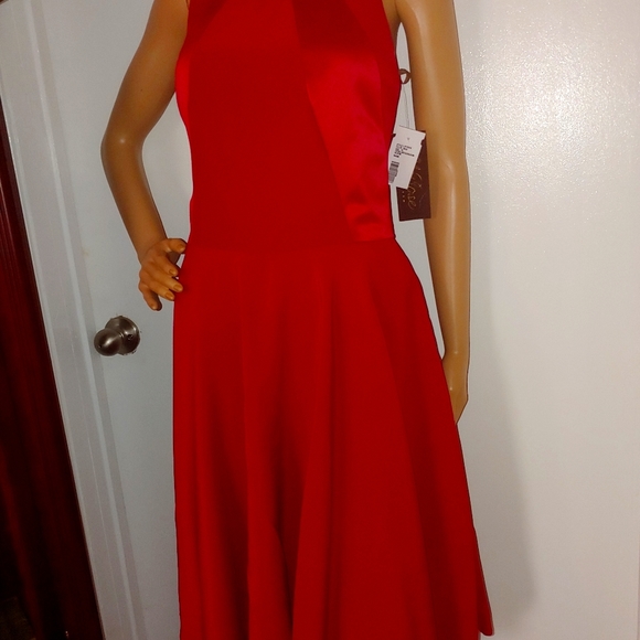 LELA ROSE 10 RED RACER BACK SKATER DRESS - Picture 7 of 11